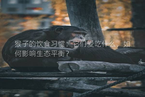 猴子的飲食習慣：它們愛吃什么，如何影響生態平衡？